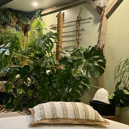 Tropical * Narbona